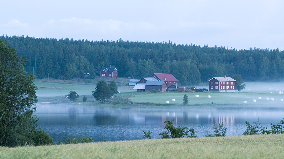 G&aring;rd i glesbygd, vid sj&ouml; med skog bakom. H&auml;lsingland, Sverige