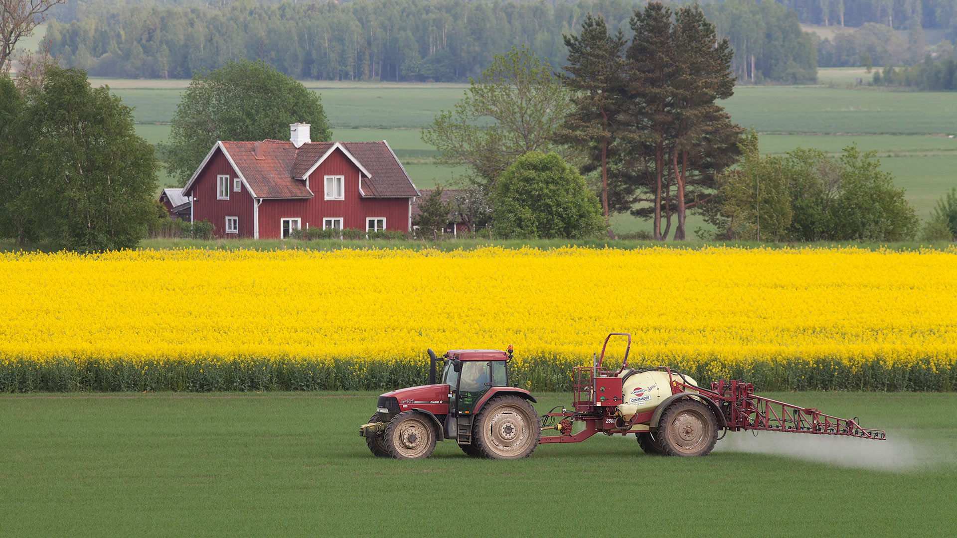 Traktor besprutar fält