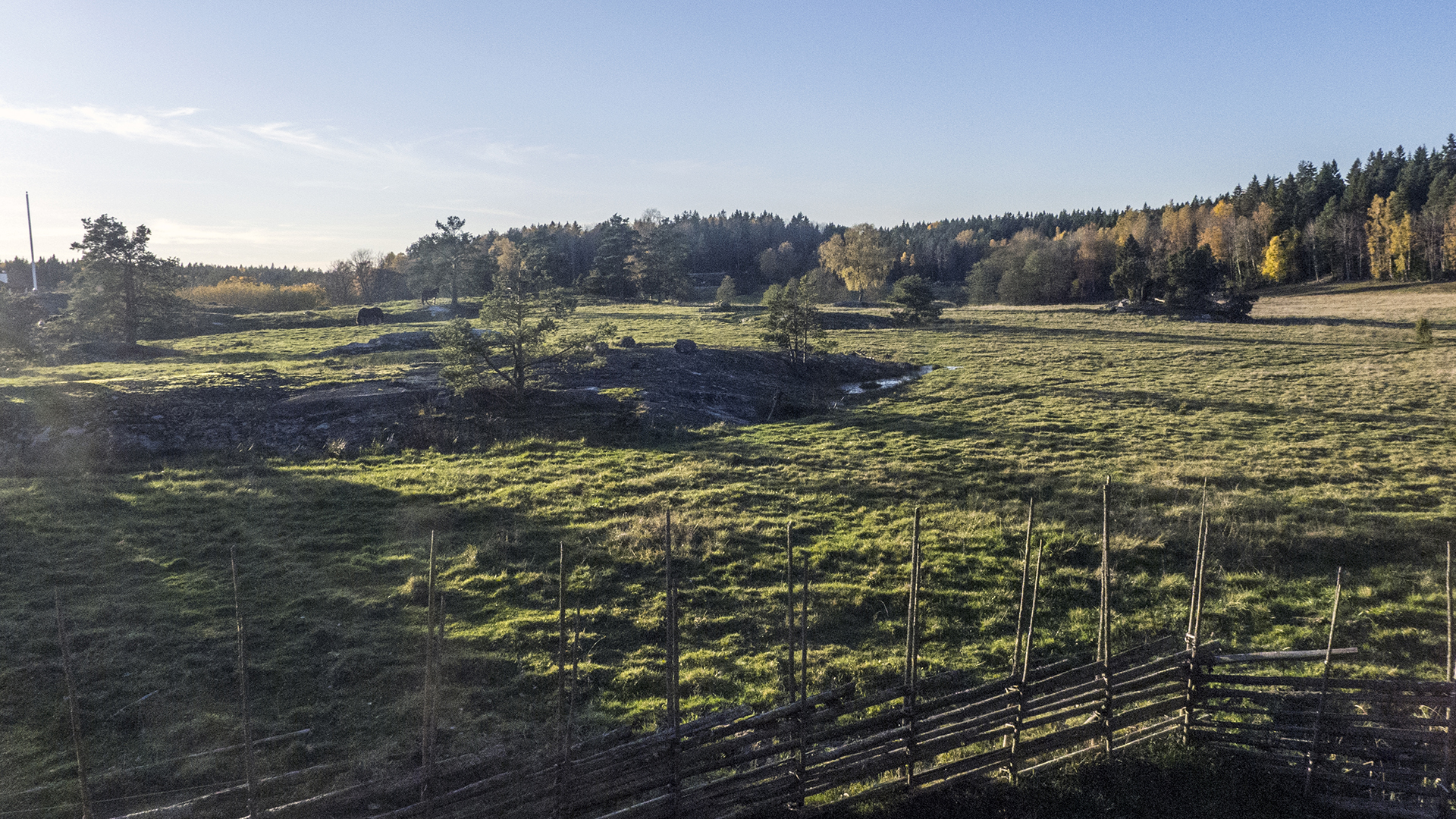 Betesmark/utmark, Tyresta.