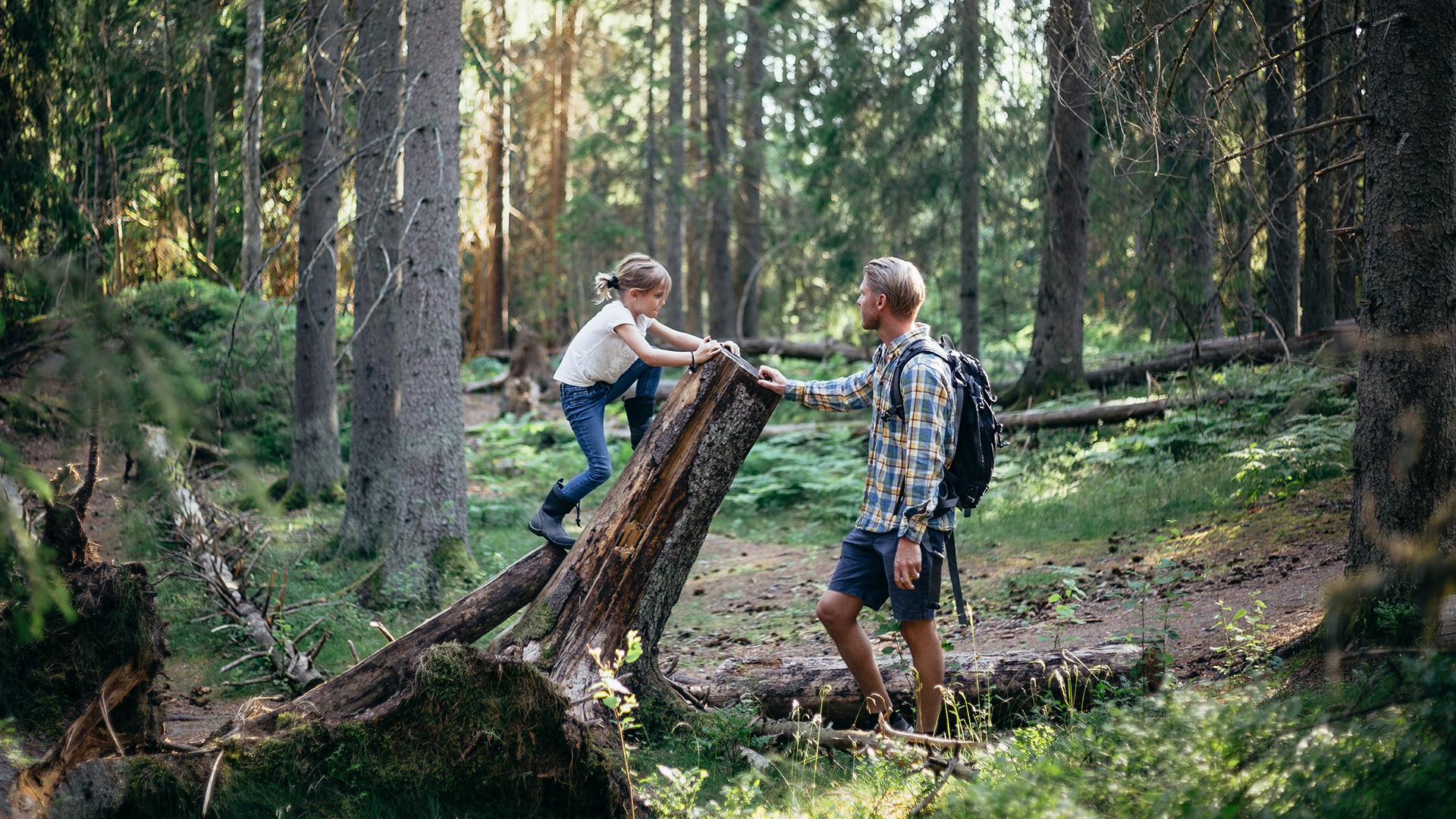 Flicka som klättrar på trädstam i skogen, pappa bredvid