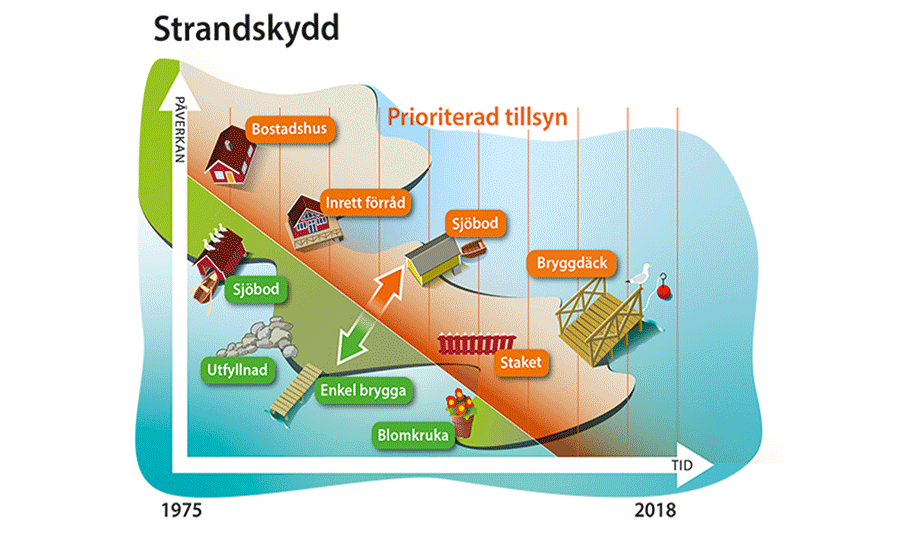 Figur som beskriver vilka omr&aring;den som prioriterats i tillsynen av strandskydd genom &aring;ren