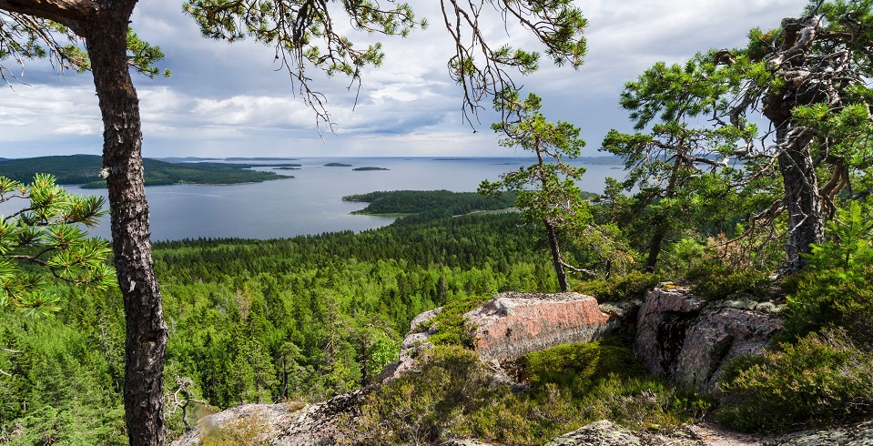 Utsikt i Skuleskogen