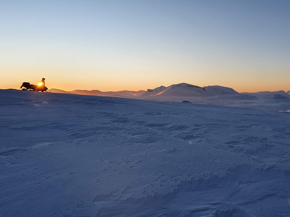 Skoter i solnedgång