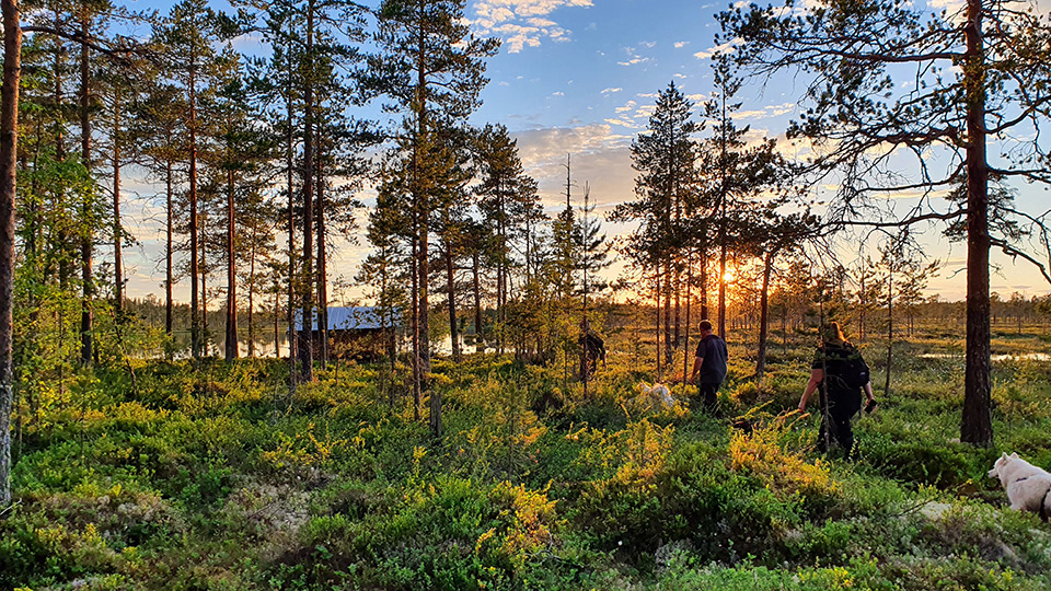 Promenad på stig med solnedgång i bakgrunden