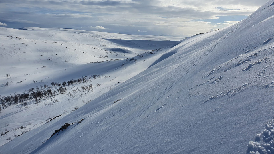 Fjällbrant landskap