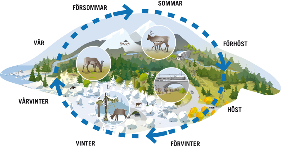 Renens behov av gr&ouml;n infrastruktur i landskapet. Illustration: Kjell Str&ouml;m.